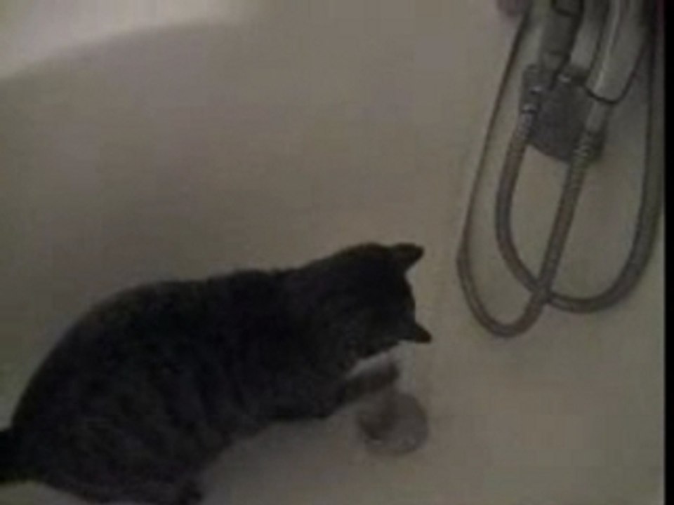 Naru et l'eau