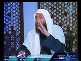 الطهارة | مجلس الفقه | ح30 | الدكتور محمد حسن عبد الغفار