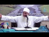 ربيع القلوب | ح13 | الشيخ محمد حسين يعقوب