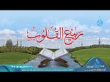 ربيع القلوب | ح3 | الشيخ محمد حسين يعقوب