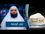 نبي الرحمة |ح15| صحيح السيرة|الشيخ الدكتور متولي البراجيلي