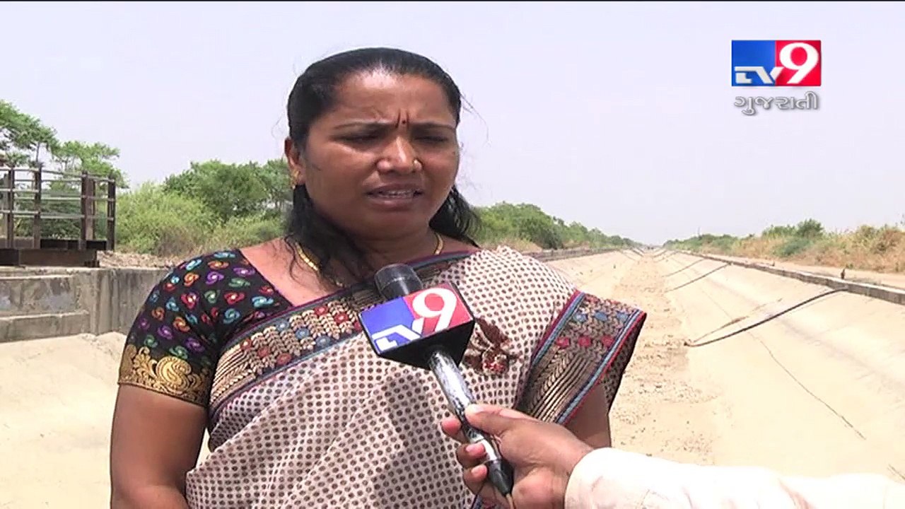 Banaskantha : No water in Narmada minor canal since last  4 months, farmers struggling for irrigation- Tv9 Gujarati