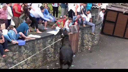 TOUROS E PANCADAS#  VÍDEO ENGRAÇADO