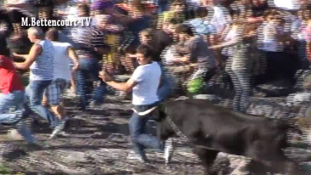 Touradas Engraçadas para Rir - Funny Videos 2016