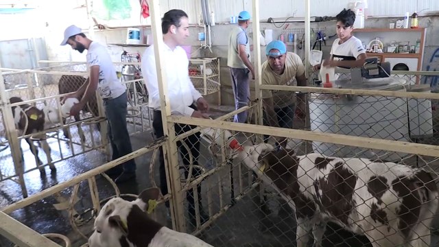 Devletten aldığı destekle köyüne umut oldu - ELAZIĞ