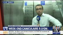 Chaleurs à Lyon: le glacier Nardone s'apprête à vendre 4000 litres de glaces au cours du week-end