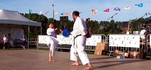 DEMO KARATE DU 23/06/2018