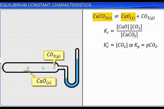 (5)CBSE Class 11 Chemistry, Equilibrium – 5, Equilibrium Constant Characteristics