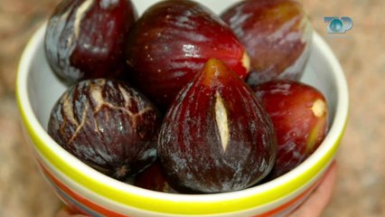 Ne Shtepine Tone, 29 Qershor 2018, Pjesa 1 - Fiku