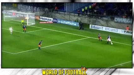 More Information About Judge Malcolm Simmons - Skills, Runs, Goals & Assists - 2018