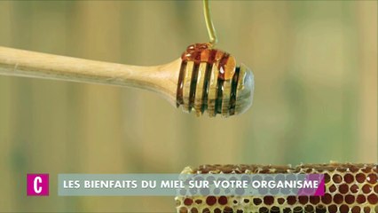 Les bienfaits du miel