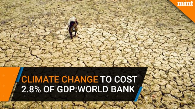 Climate change may cost India 2.8% of GDP : World Bank