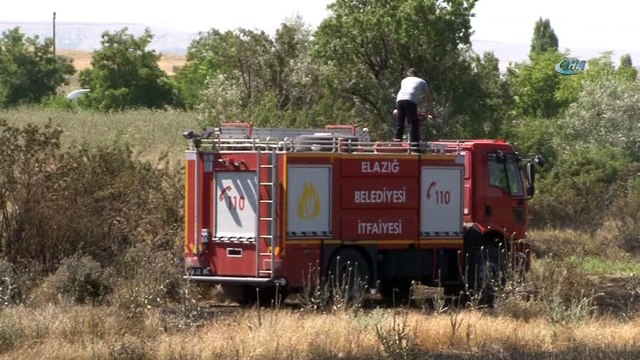 Sigara izmariti 80 dönüm buğdayı kül etti