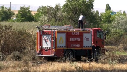 Sigara izmariti 80 dönüm buğdayı  kül etti