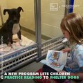 The 'Shelter Buddies' program helps kids improve their reading skills while making the dogs more socially comfortable around humans 