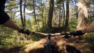 MORE New Whistler Mountain Bike Park Trails - Insomnia