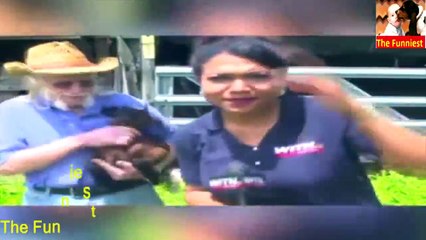 Funny Baby Goats animals Compilation - TRY NOT TO LAUGH CHALLENGE