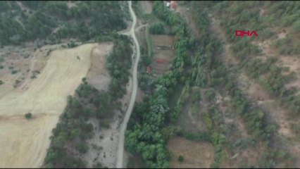 Uşak Köylülerin Boz Ayı İddiası