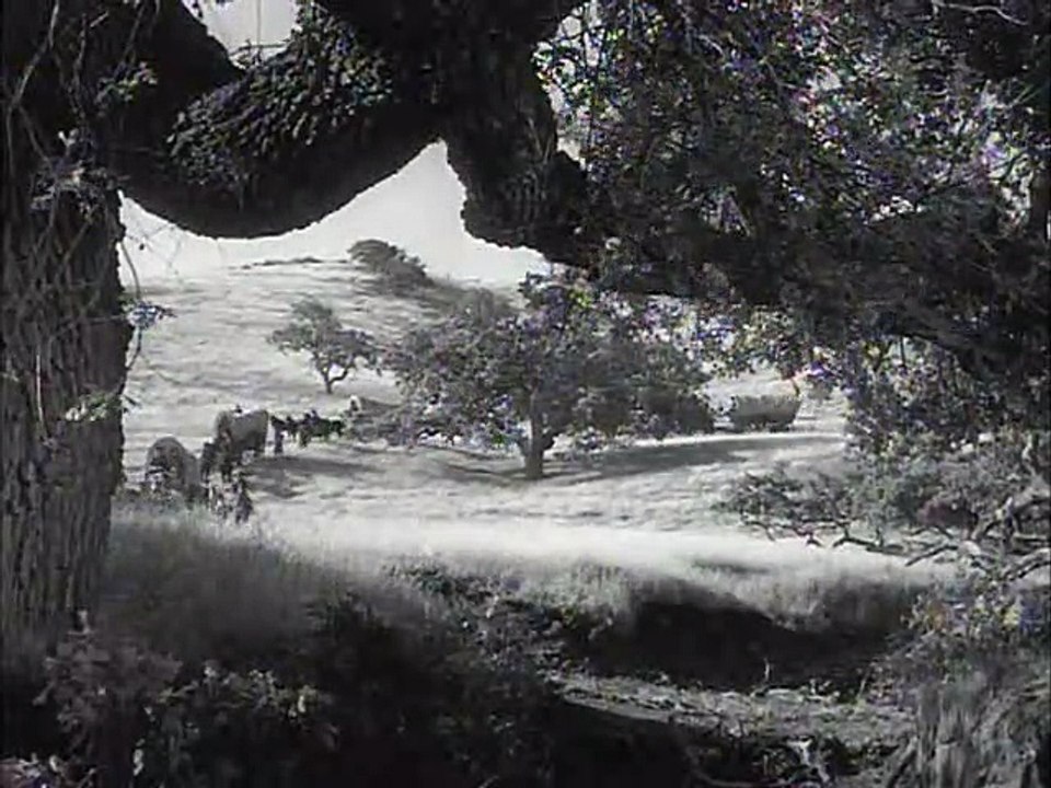 Wagon Train S03E37  The Shadrack Bennington Story