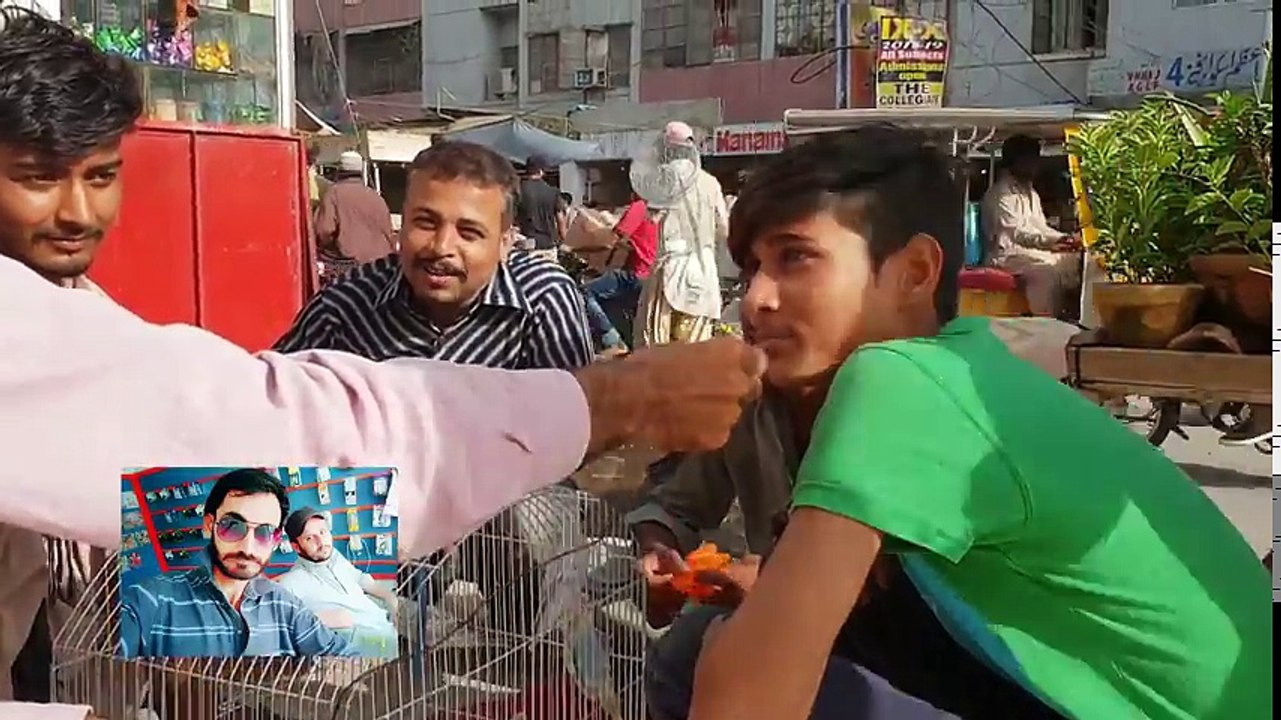 Wo Aisa Konsa Prinda Hai Jo Urr Nehin Sakta- ...- - ACHAANAK COMEDIANS