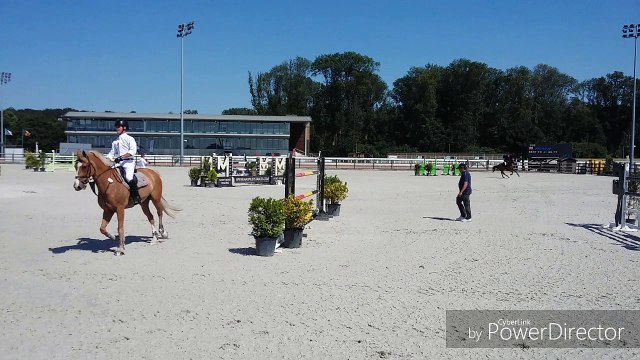 Sports équestres (Saut d'obstacles) - Deuxième extrait du Horse Pilot Jump Festival à l'hippodrome de Wallonie