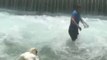Sauvetage d'un bébé cygne coincé dans une chute d'eau à Annecy