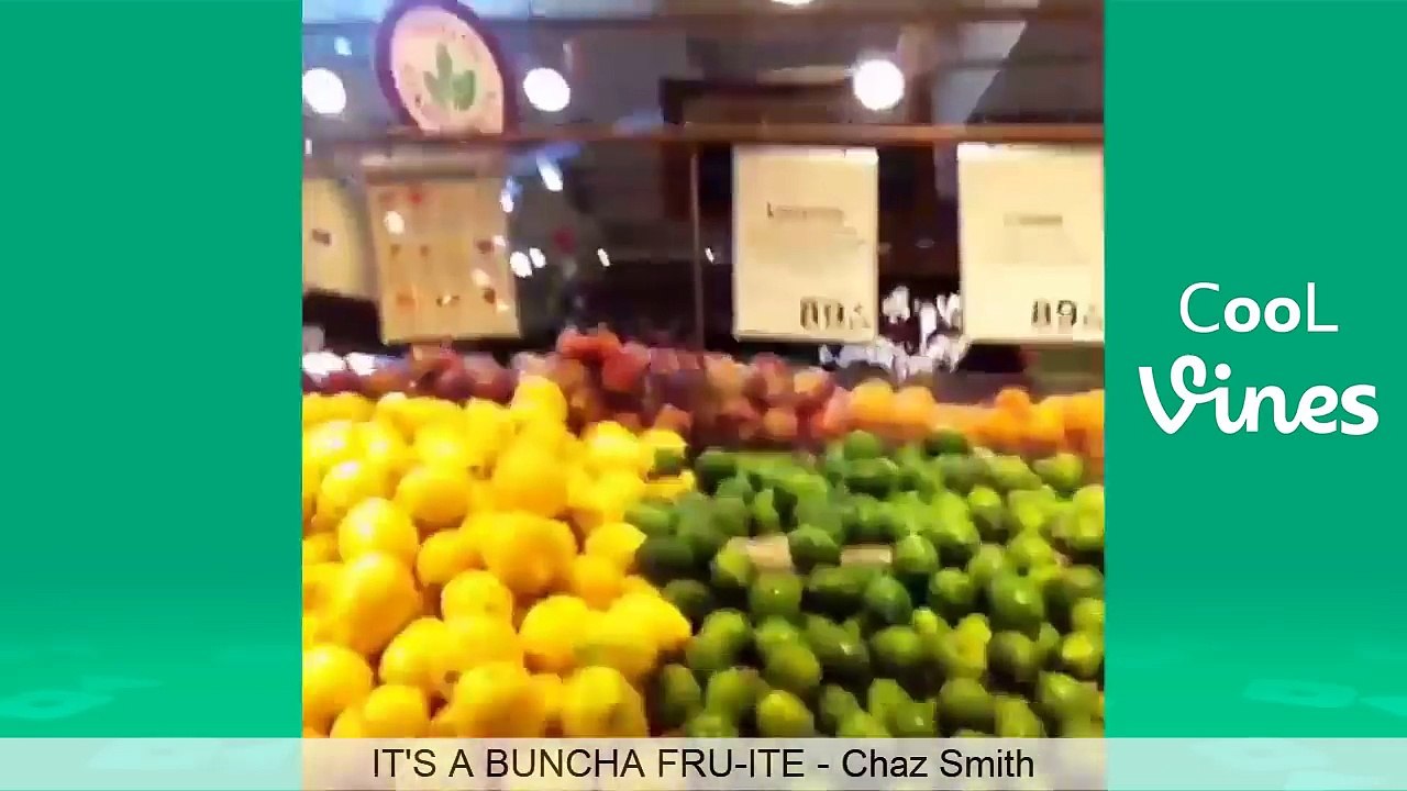 JAKE PAUL AND LOGAN PAUL VINES [part 4]