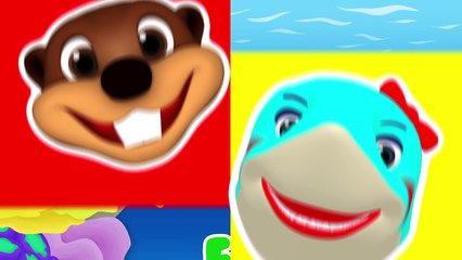 Finger Family Sharks Reggae | Animal Nursery Rhyme, Song for Babies & Toddlers