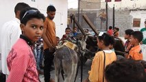 فعاليات العيد في حوافي عدن (الألعاب الشعبية )