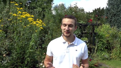 Criss Cross Pfoten kreuzen Tutorial Clicker Training Hunde Tricks beibringen