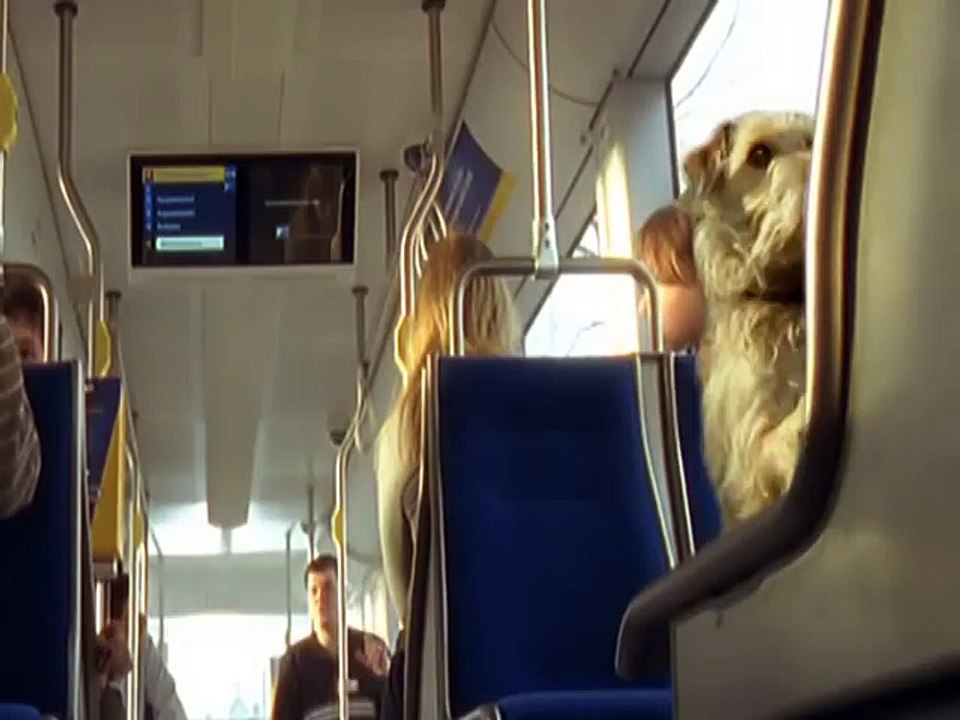 der LVB Werbespot mit dem Hund