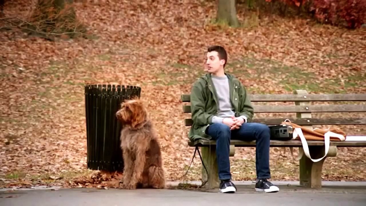 Mars Werbung mit Hunden Mars advertising with dogs