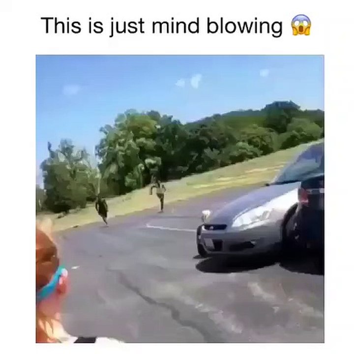 Viral Videos - This Is Awesome!