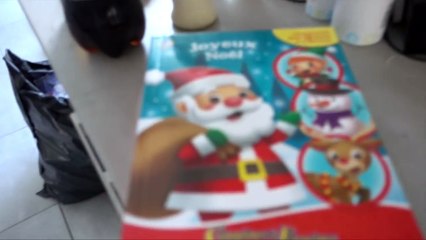 ENCEINTE DE JUMELLES !!! - VLOG FAMILLE