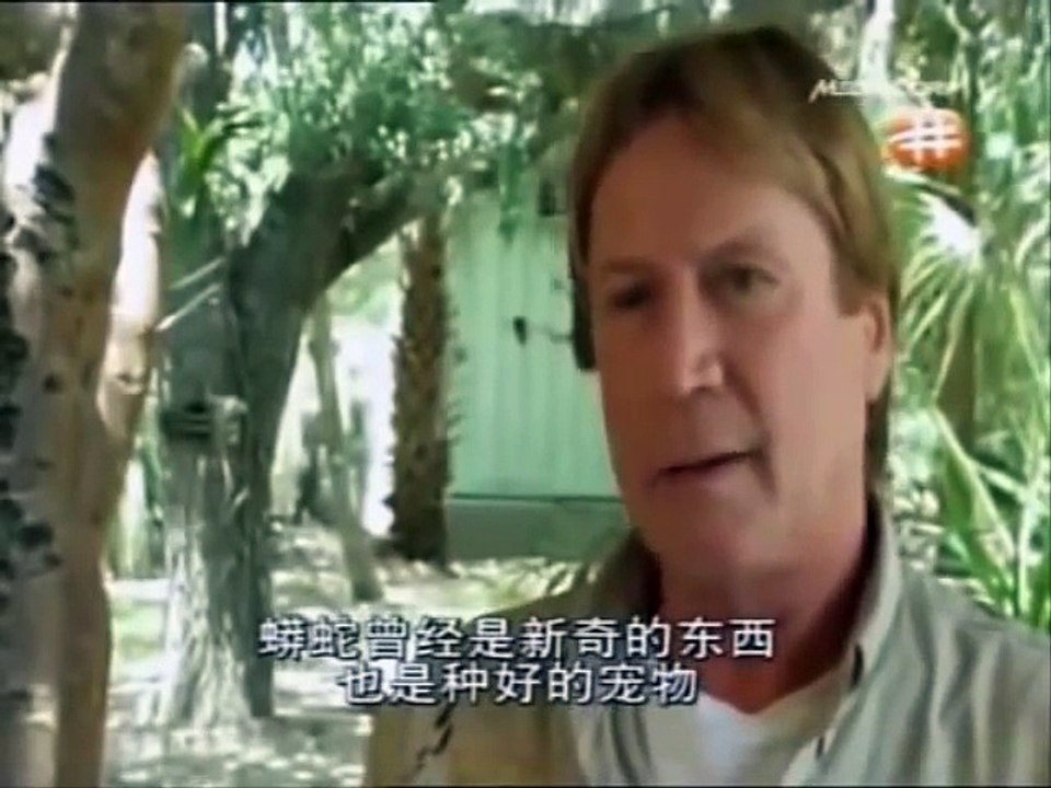 PYTHON The Legend Of the Deadly Reptile Documentary HD