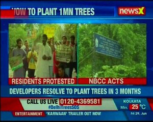 Télécharger la video: HC stalled felling of 17k trees; NBCC to redesign and plan for minimum tree felling