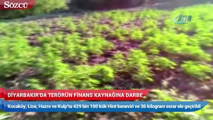 Diyarbakır'da terörün finansına darbe