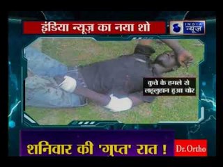 कुत्ते की जबाज़ी का वायरल वीडियो, डॉग गार्ड ने घर में घुसे बदमाशों के होश उड़ाए