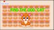 Find the Odd One Out -  Puzzles for Genius Minds || Puzzle Time # 4 || Puzzles for fun, Puzzle Games || Viral Rocket