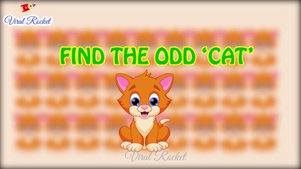 Find the Odd One Out -  Puzzles for Genius Minds || Puzzle Time # 4 || Puzzles for fun, Puzzle Games || Viral Rocket