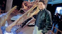 Der Größte Fleischfressende Dinosaurier Aller Zeiten Spinosaurus