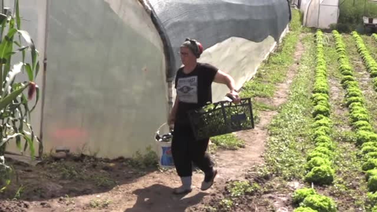 Toprak ve Suya "Verimli" Dokunuş