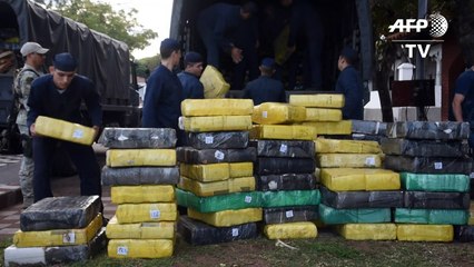 Paraguay quema más de 14 toneladas de marihuana