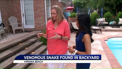 Virginia Mom Almost Steps on Copperhead Snake in Her Backyard