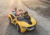 Cool Cat Cruises the Streets of Bangkok With His Pals