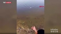 Balıkçı gölette tuttuğu balığı sevip suya bıraktı