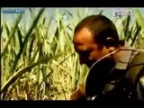 Serial Killers - Sipho Thwala (The Phoenix Strangler) - Documentary