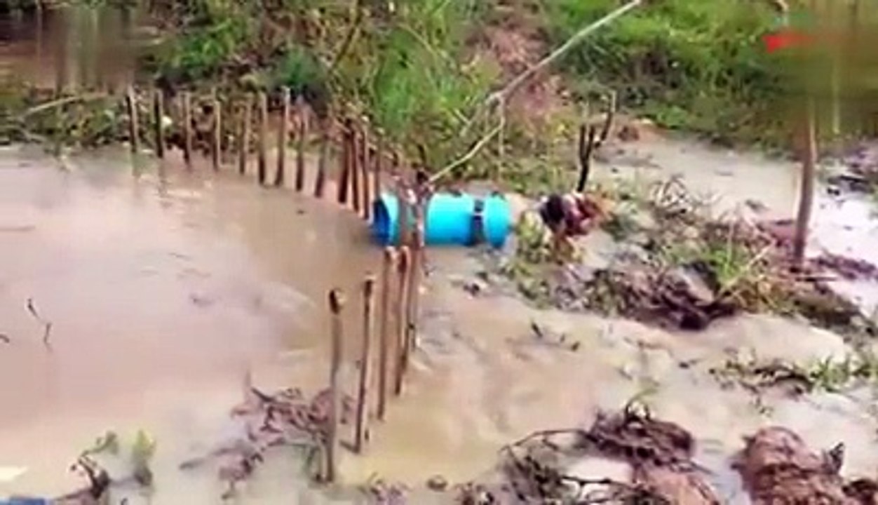 Capturan a una enorme anaconda de esta forma por esta razón