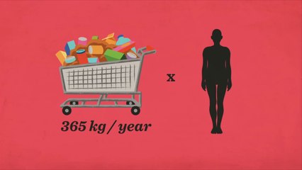 How your digestive system works