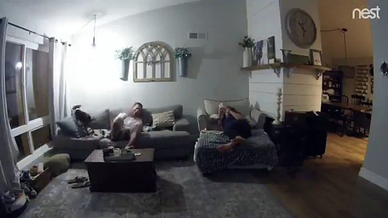 Surprise ce chien saute sur les boules de son maître en train de regarder la télé !